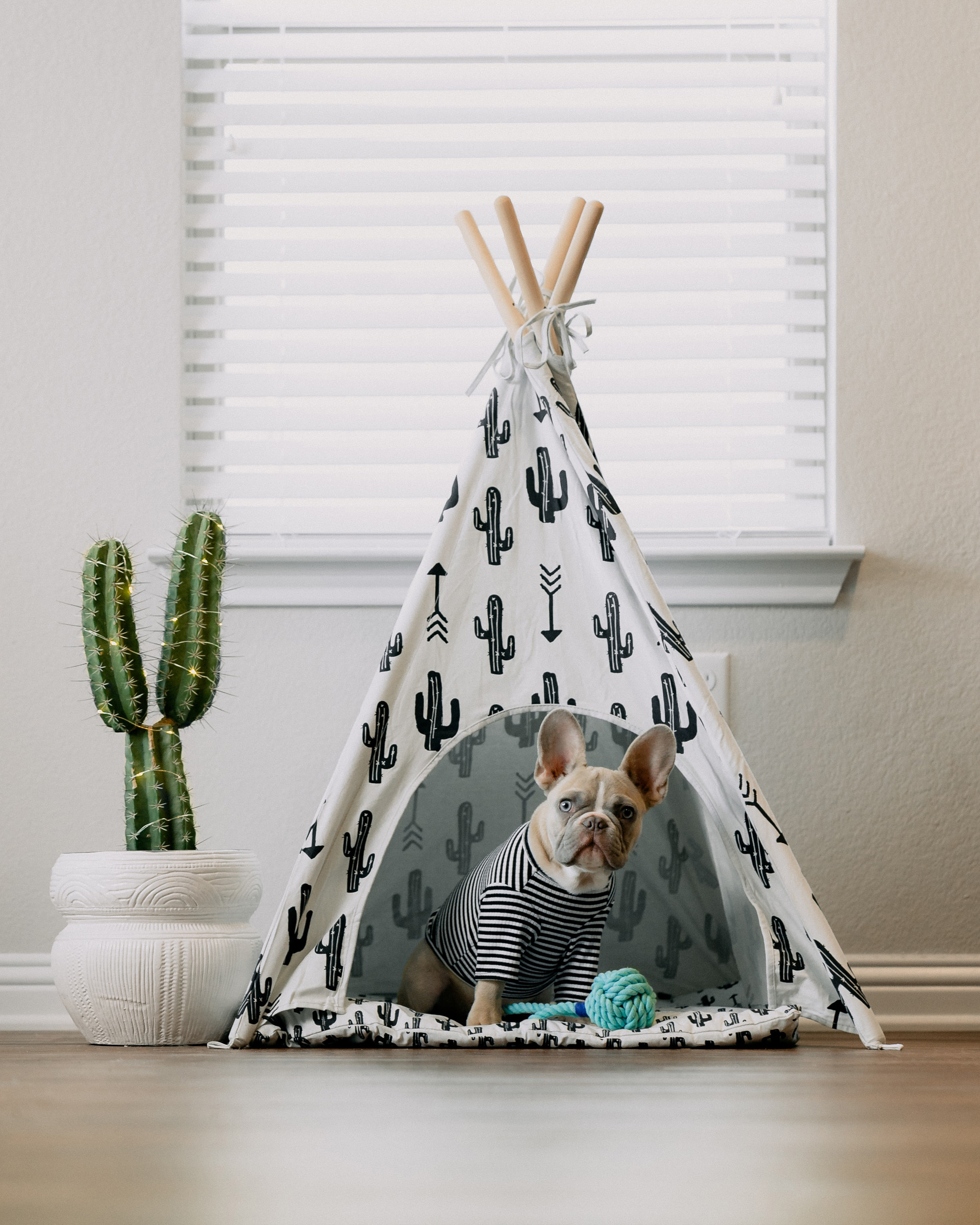 Lulunami Shop 1 karsten winegeart XoOXuRDIBPg unsplash