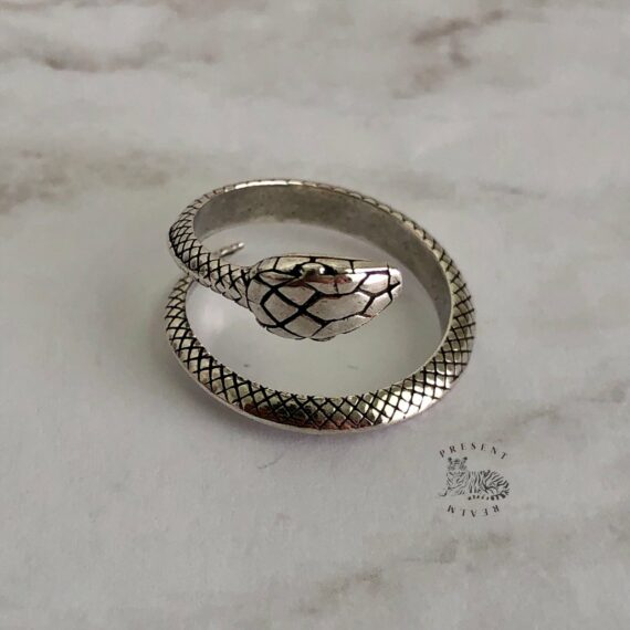 Present Realm Adjustable Rings