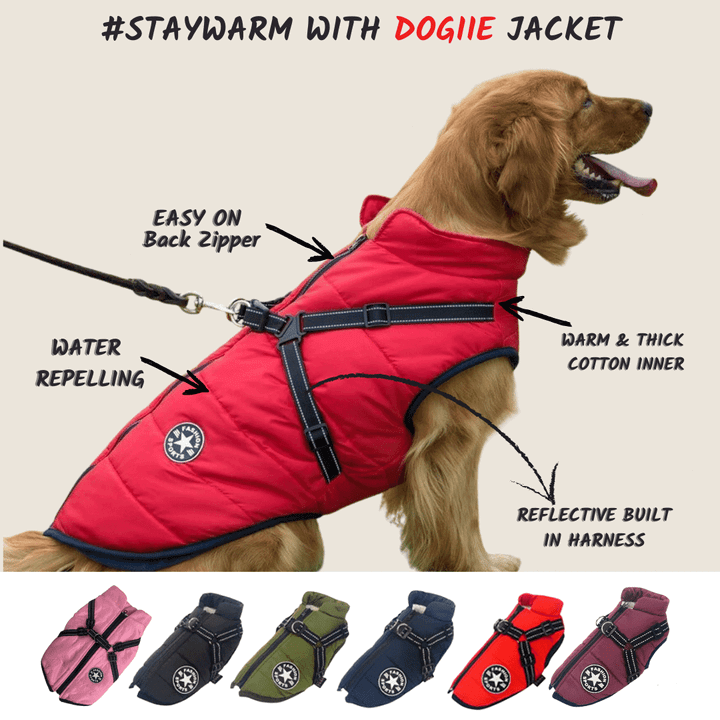 Waterproof winter dog jacket with built in harness lulunami