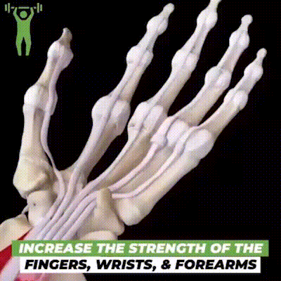 6 Resistant Level Finger Exerciser