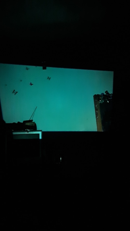 Verdure Projector