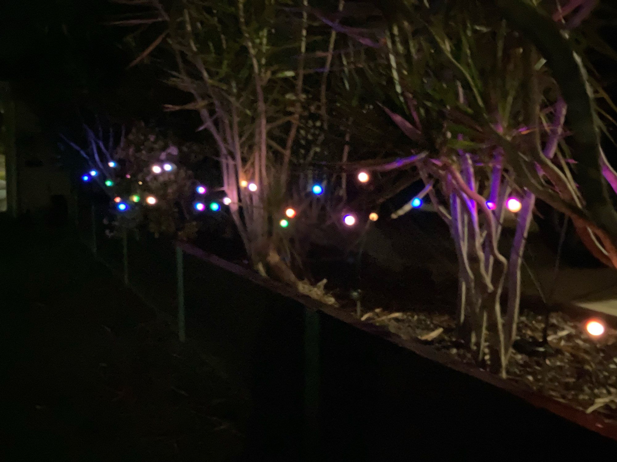 LAST DAY 50% OFF-Solar Powered Firefly Light