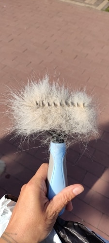 (Summer - 47% OFF)Pet Safe Dematting Comb