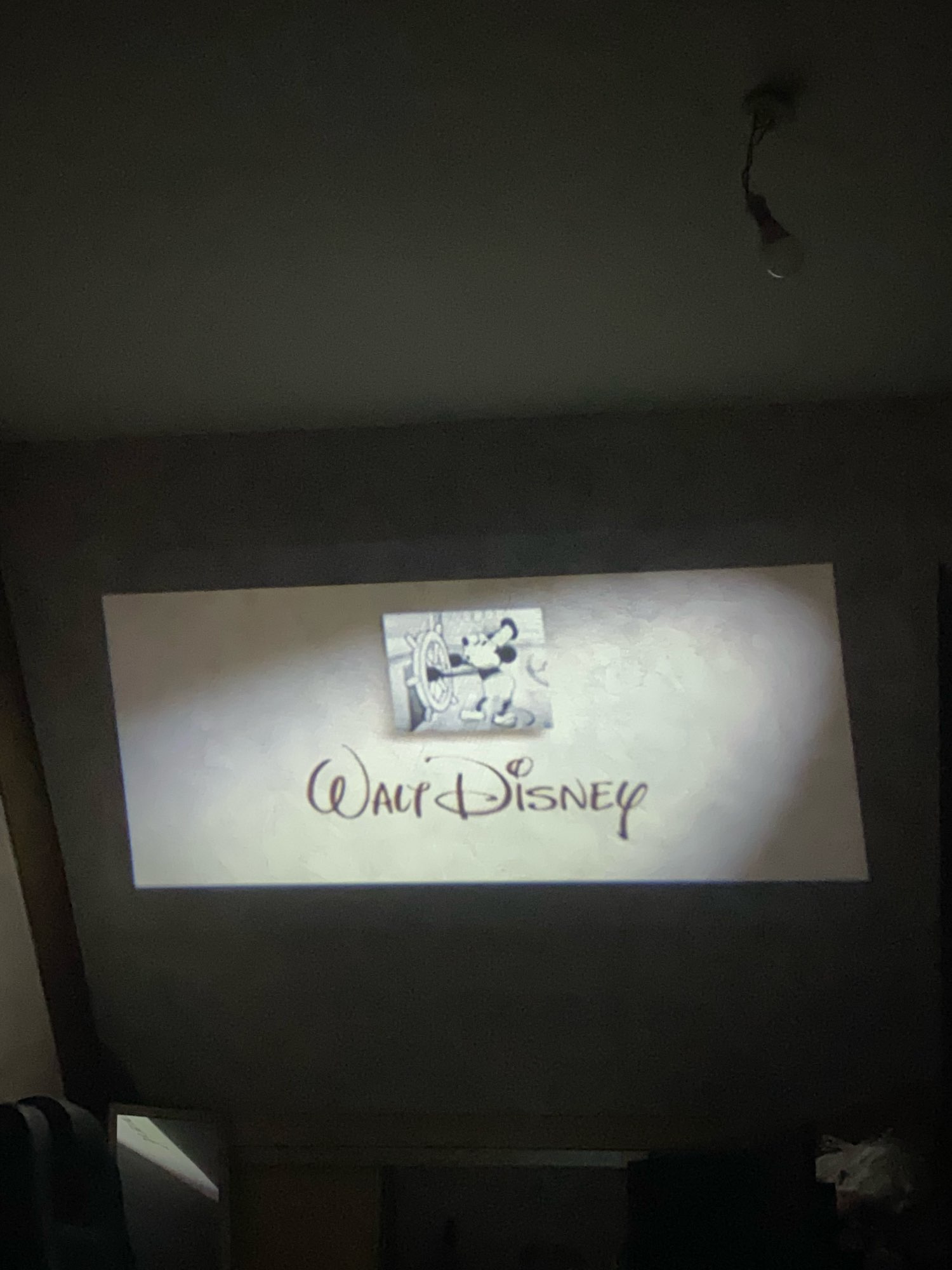 Verdure Projector