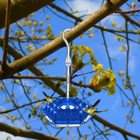 Solar Grass LAST DAY 49% OFF-MARY'S HUMMINGBIRD FEEDER WITH PERCH