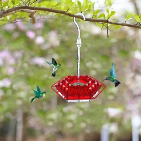 LAST DAY 49% OFF-MARY'S HUMMINGBIRD FEEDER WITH PERCH