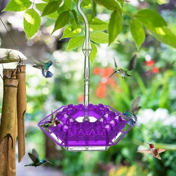 Solar Grass LAST DAY 49% OFF-MARY'S HUMMINGBIRD FEEDER WITH PERCH