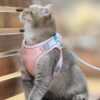 turf milky - Luminous Cat Vest Harness and Leash Set