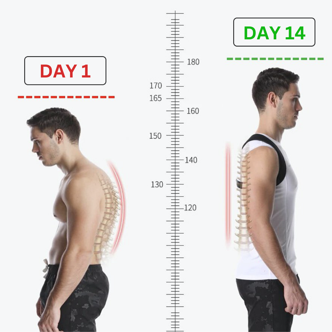 Posture Corrector - Lulunami