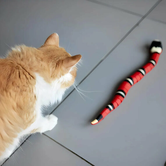 jouet serpent pour chat