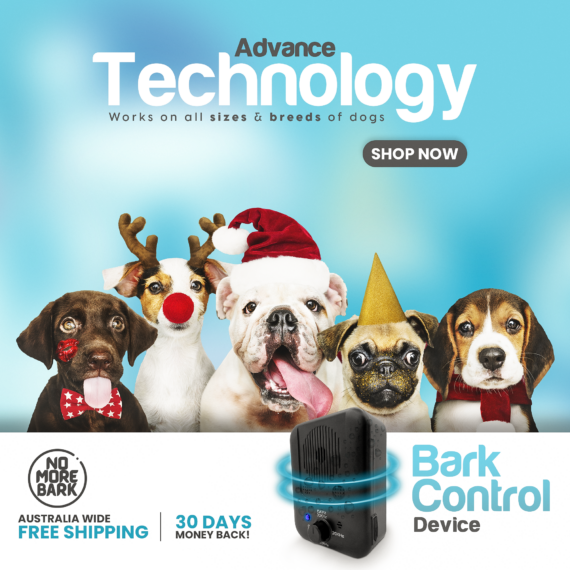 Dog Bark Silencer Lulunami