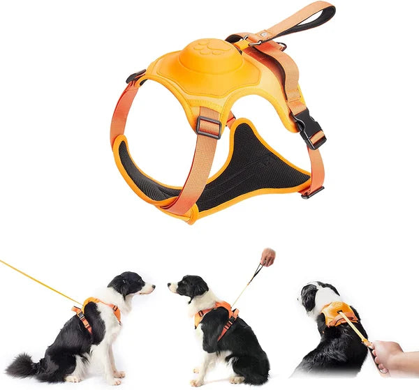 Dog Harness and Retractable Leash Set AllinOne Lulunami