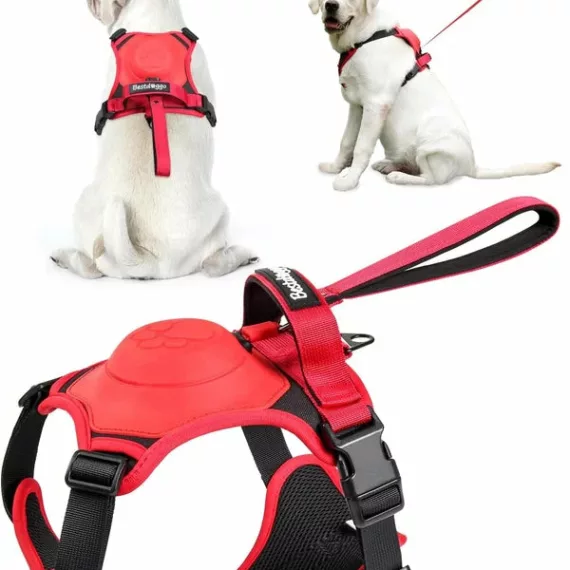 Dog Harness and Retractable Leash Set AllinOne Lulunami