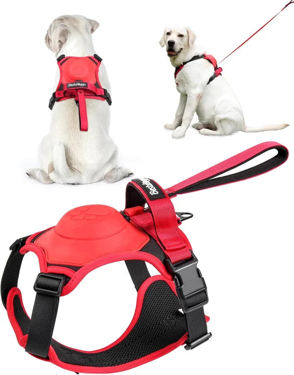 Dog Harness and Retractable Leash Set AllinOne Lulunami