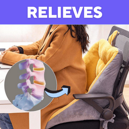 The #1 Back Pain Relief Cushion