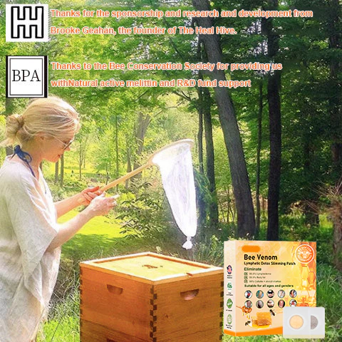 Doo-eka Bee Venom Lymphatic Drainage Slimming Patch