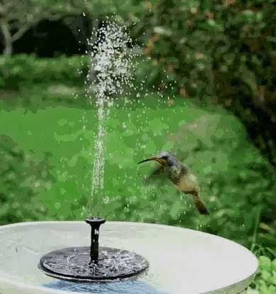 Solar-Powered Garden Oasis Water Fountain For Birds